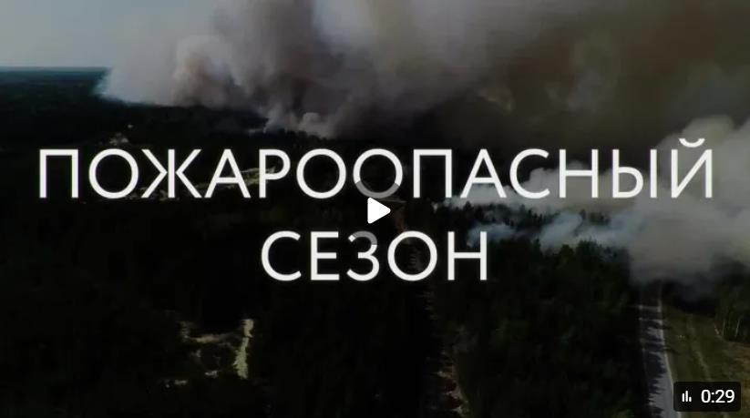 Лес без пожара