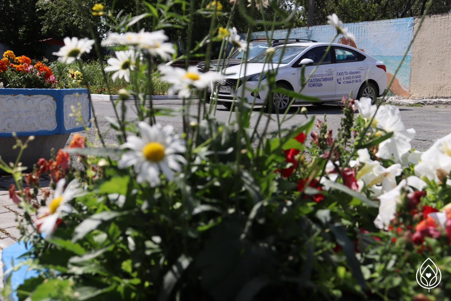 Ответственное отношение к сердцу — это жизнь!