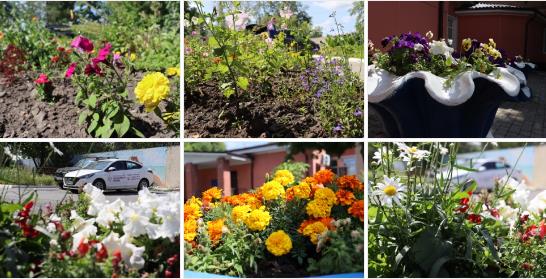 Хотим в этот пасмурный день поделиться с вами замечательной атмосферой территории нашего хосписа