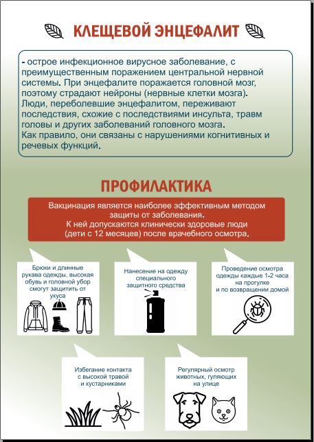 Снимок2.JPG