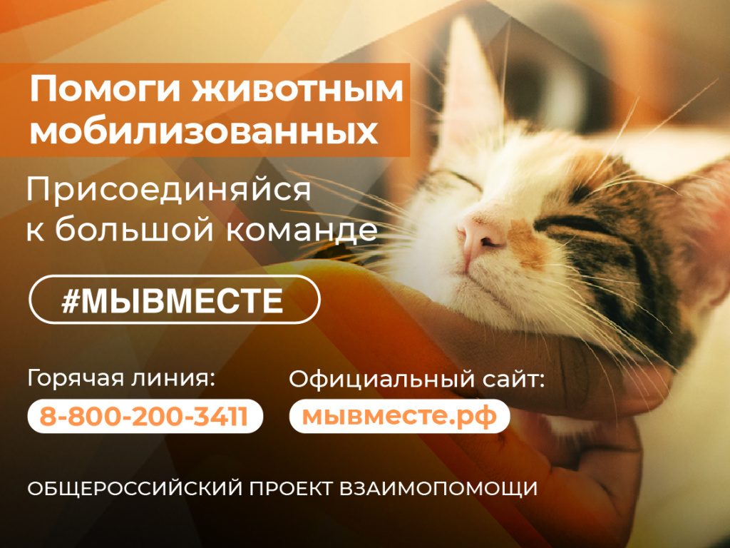 Баннер МЫВМЕСТЕ (2).jpg Баннер МЫВМЕСТЕ (2).jpg