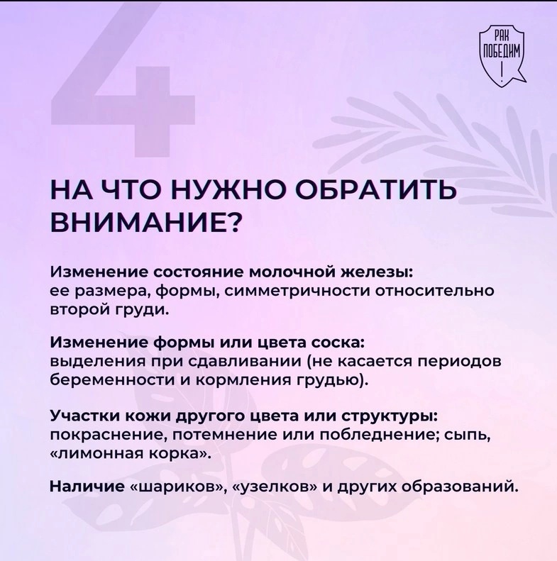 5.jpg 5.jpg