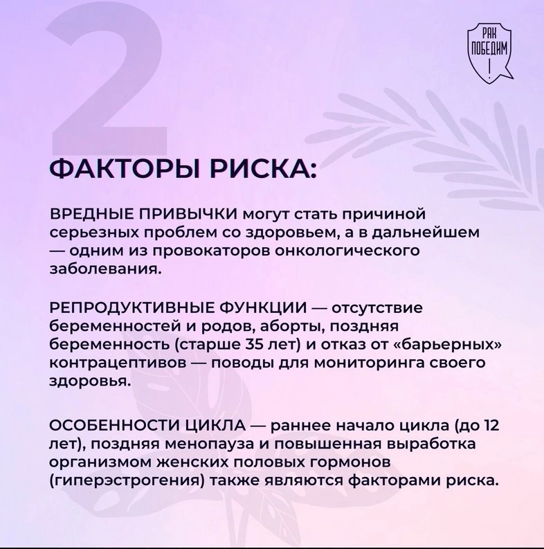 3.jpg 3.jpg