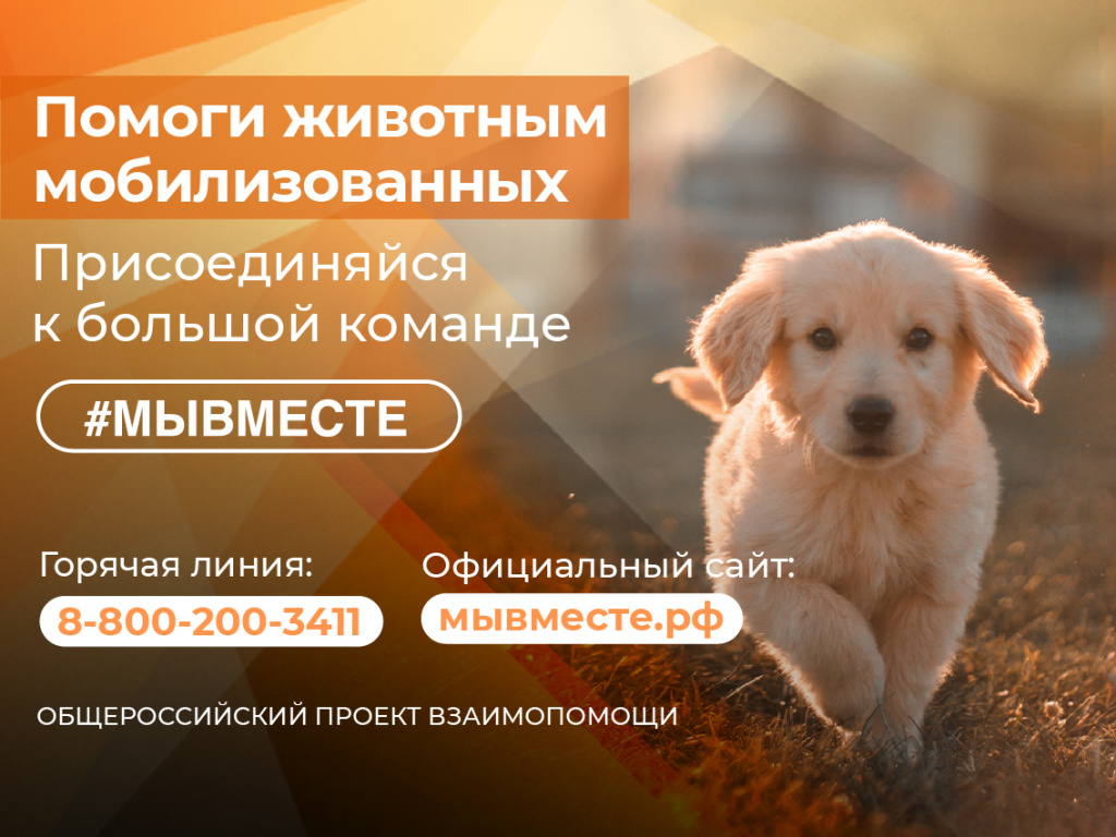 Баннер МЫВМЕСТЕ (3).jpg Баннер МЫВМЕСТЕ (3).jpg
