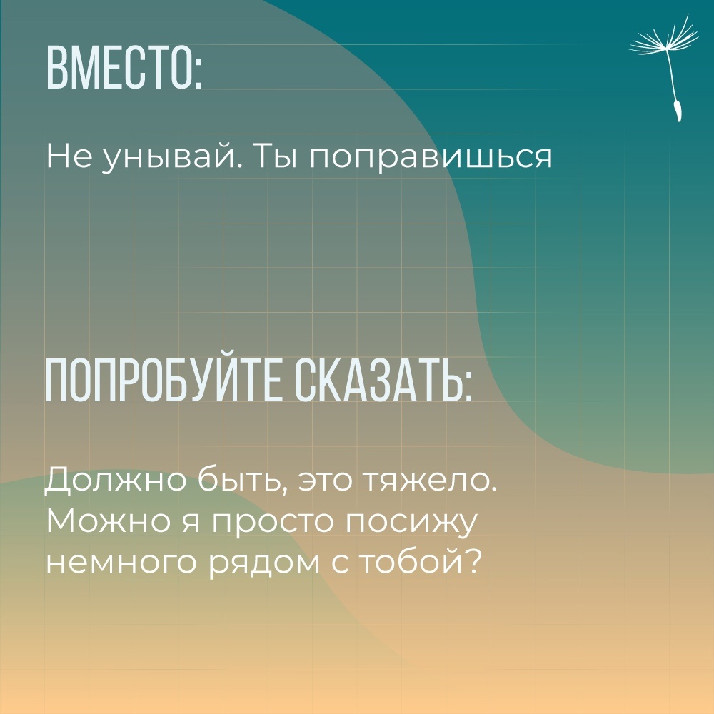 6.jpg 6.jpg