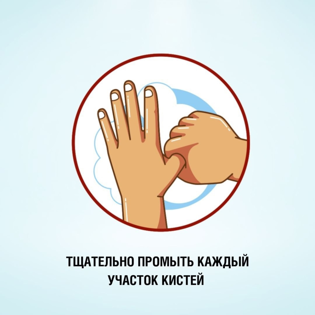 5.jpg 5.jpg