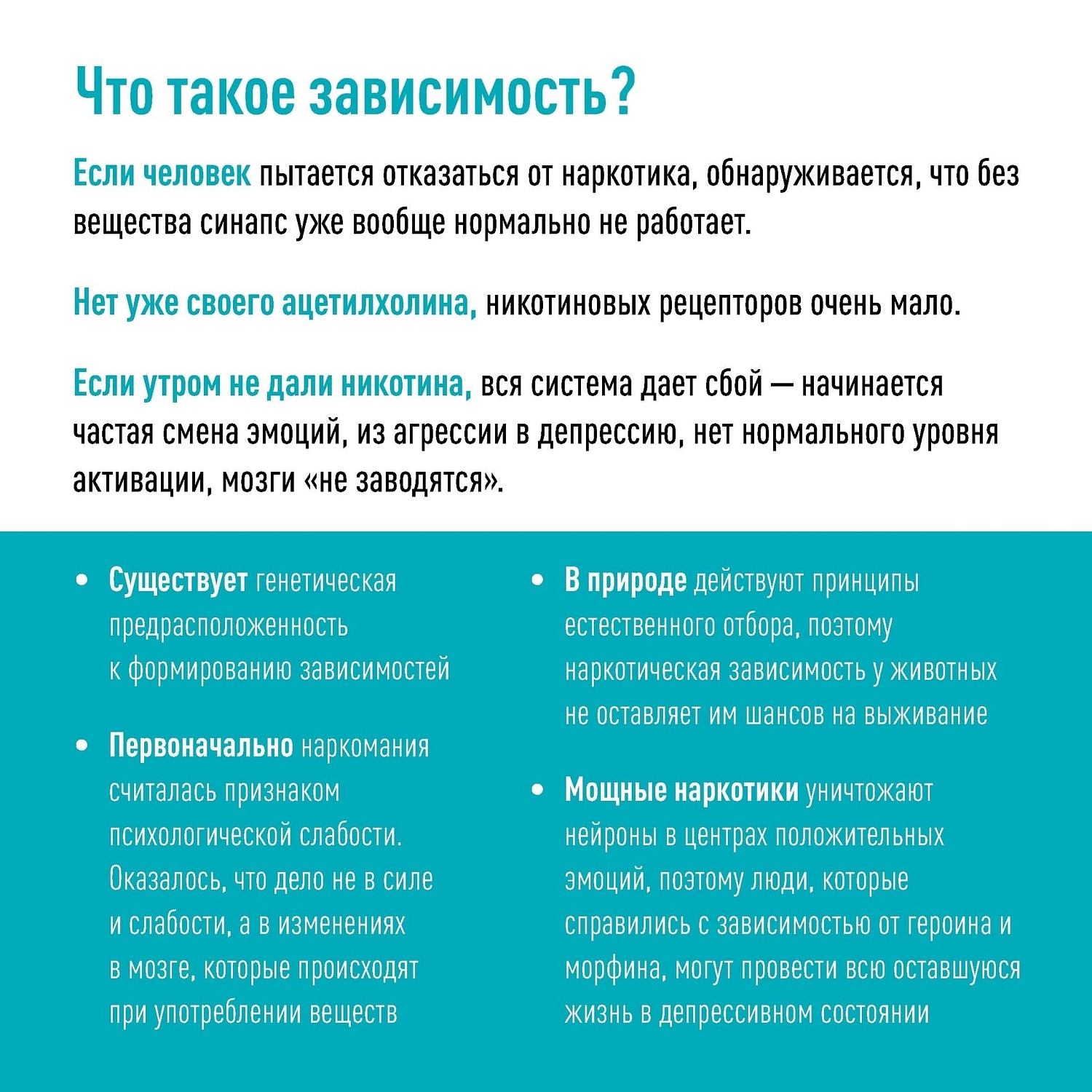 Я сам обманываться рад!