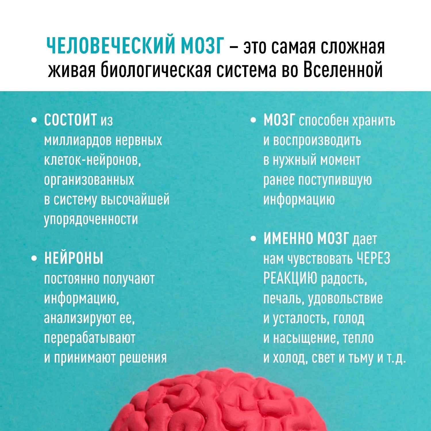 Я сам обманываться рад!