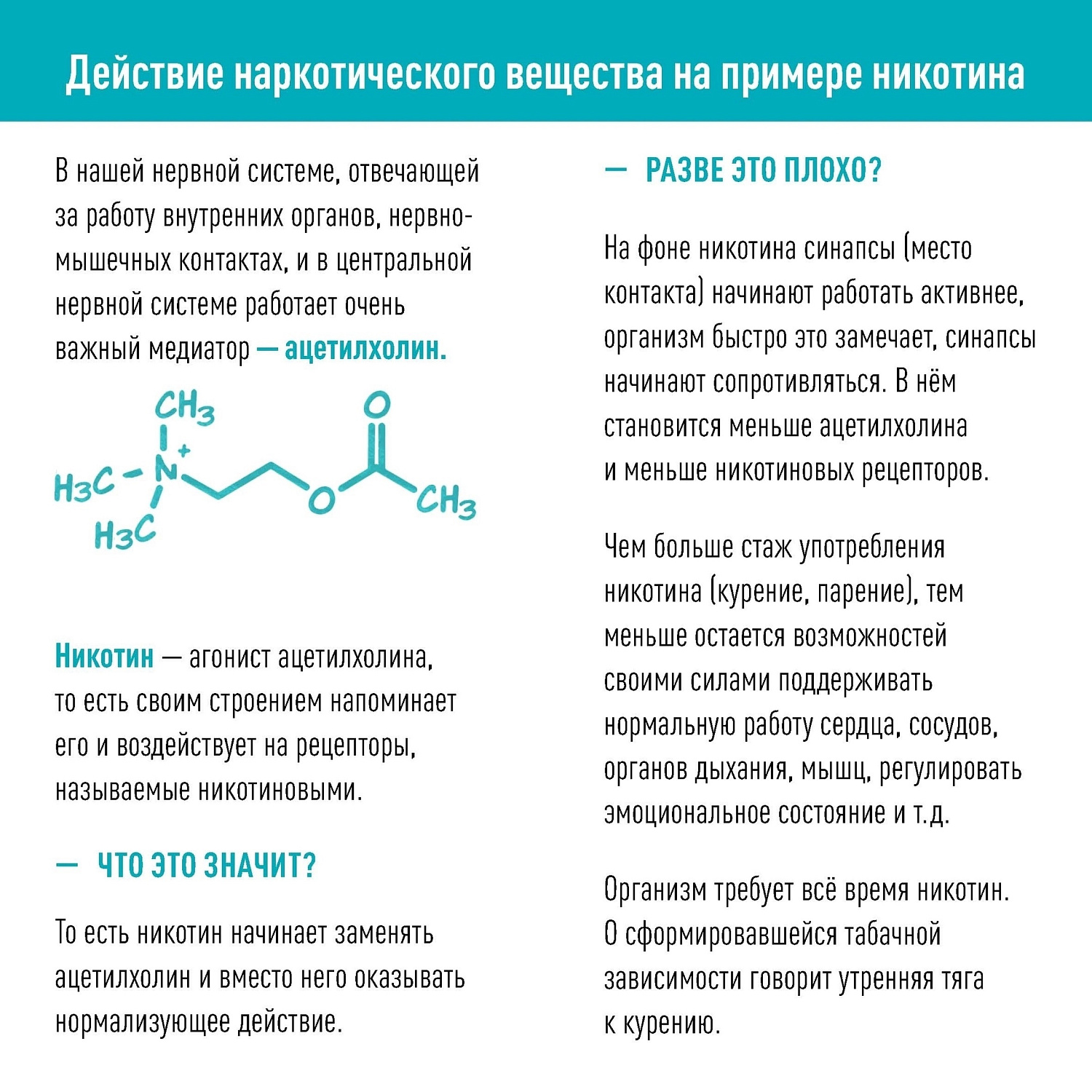 Я сам обманываться рад!