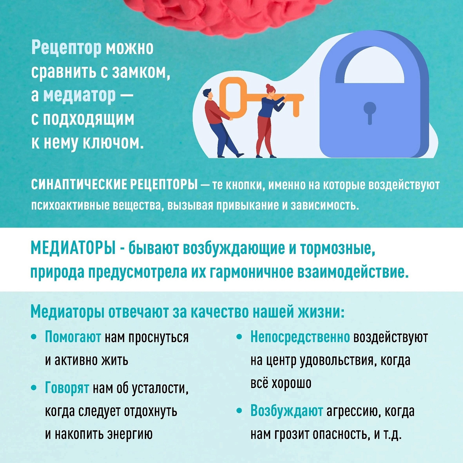 Я сам обманываться рад!